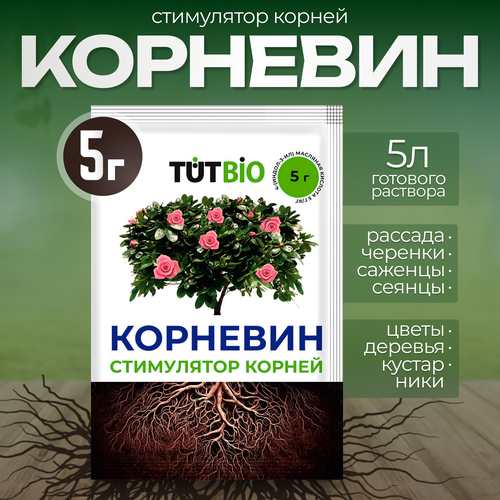 ������ ������ ���������� ����� ������ TUTBIO 