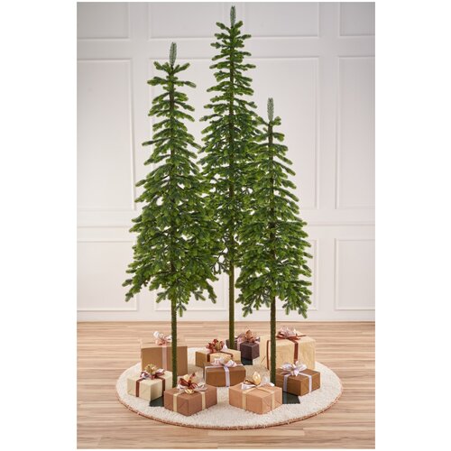 ������ ������ ��� ������������� ����� �������� ���� ���� 2,5 � ����