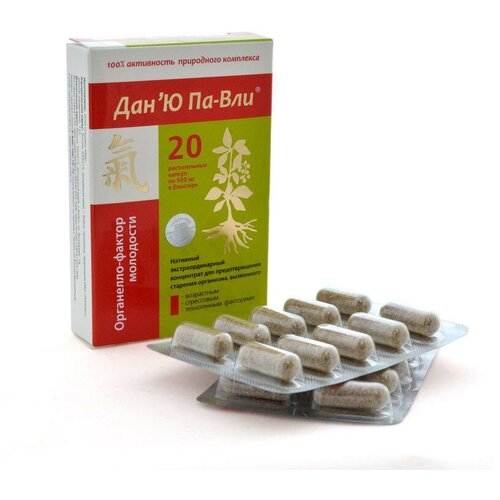 ������ ������ ���'� ��-��� ���������-������ ���������, 20 ������ ����