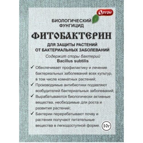 ������ ������ ������������ 10� ���-�������� 10/100 ����� ����