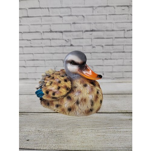 ������ ������ ������ ������������ 