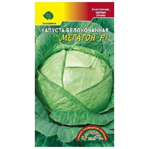 ������ ������ ������ �������� ��� 