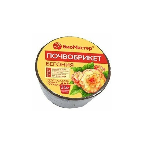 ������ ������ ����������� 