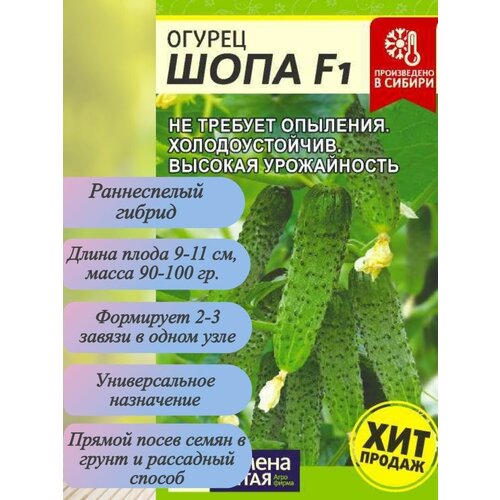 ������ ������ ������ ������� ���� F1, 5 ��. ����