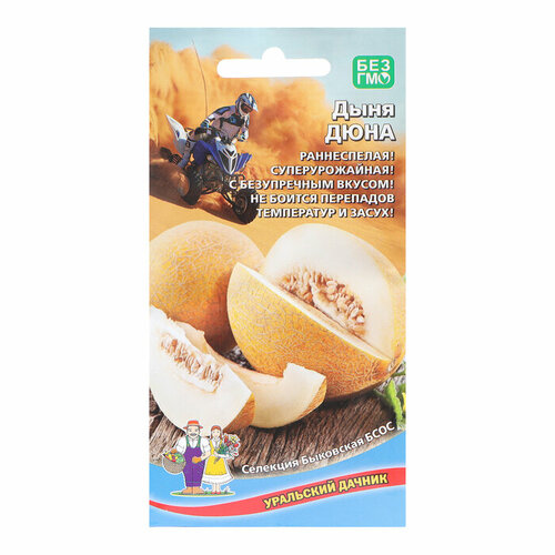 ������ ������ ������ ���� ���� 10�� ������ (��������� ������) ����