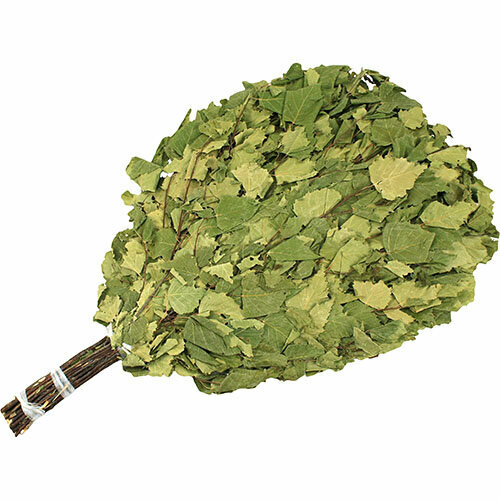 ������ ������ ����� �������� 