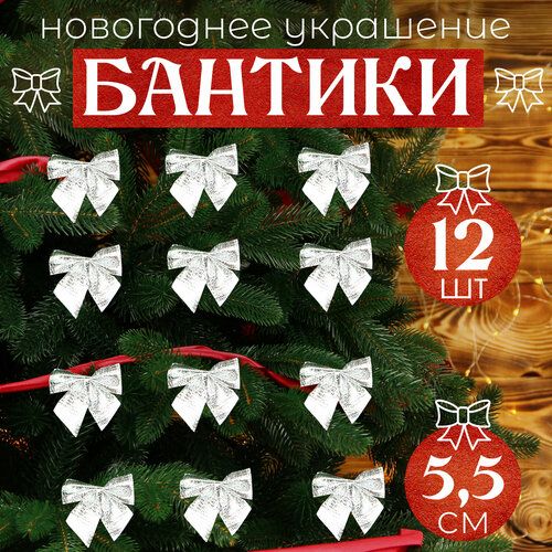 ������ ������ ����� �� ���� ����������� 12�� 5,5�� ����