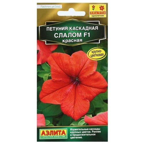 ������ ������ ������ ������ ������� 