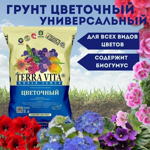 ������ ������ ����� Terra Vita 