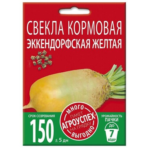 ������ ������ ������������������� �������� ������, ������ �����-�������10� ����