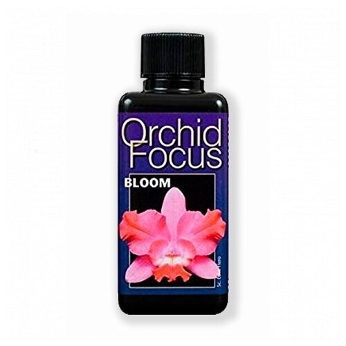      Orchid Focus Bloom  100 