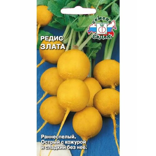 ������ ������ ����� 