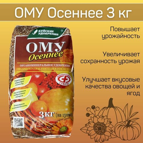 ������ ������ ��� 