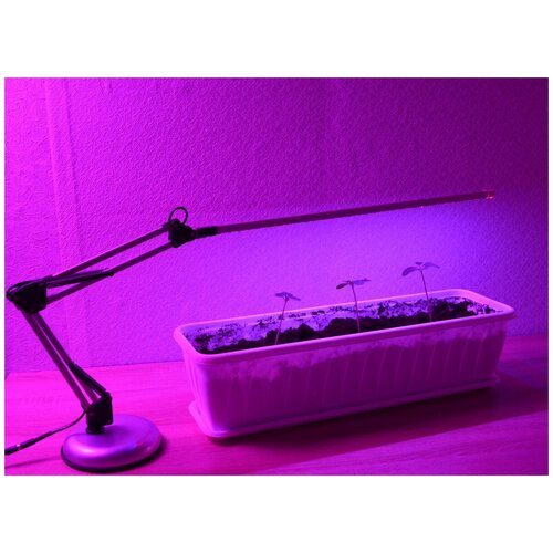 ������ ������ �������������� ���������� 