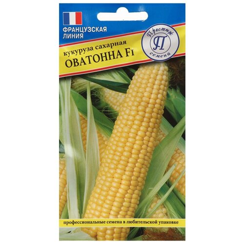 ������ ������ ������ �������� ��. 