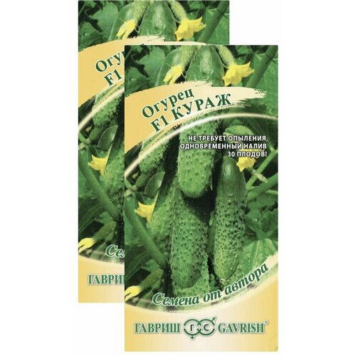 ������ ������ ������ ����� F1 (10 �����) ����