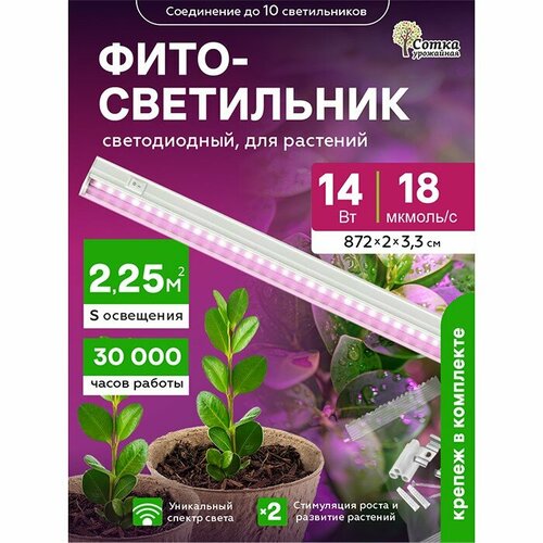 ������ ������ ��������� ��� �������� ��������������� 14 ��, ������ ��� ����������� 872 �� � ������������, ������� ���� ����