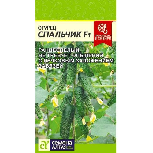 ������ ������ ������ ������ 