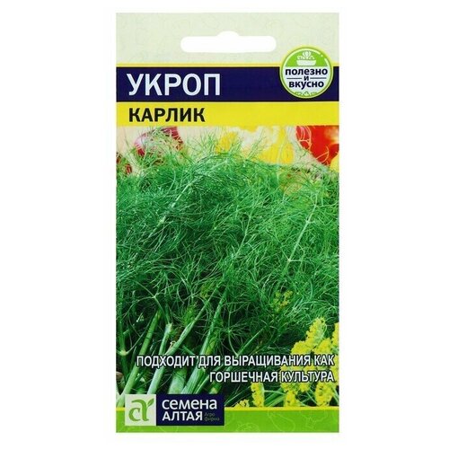 ������ ������ ������ ����� 