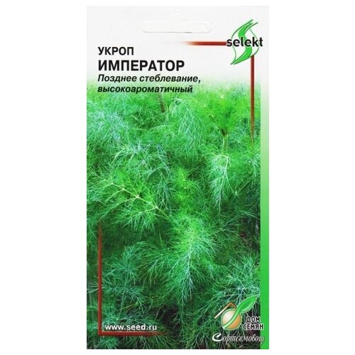 ������ ������ ������ ��� ����� ����� ���������, 1100 �� ����