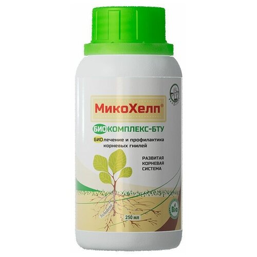 ������ ������ ������������� �������� �������� ��������� �����������-��� 250 ��. ����