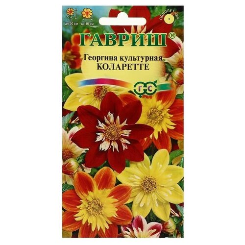 ������ ������ ������ ������ ������ 