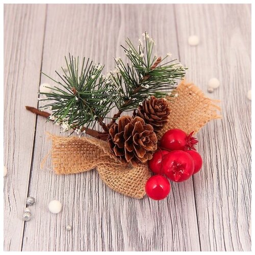 ������ ������ ����� 