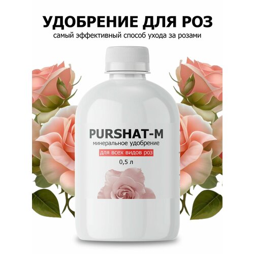 ������ ������ ��������� ������ ��� ��� � ������ 500�� ����