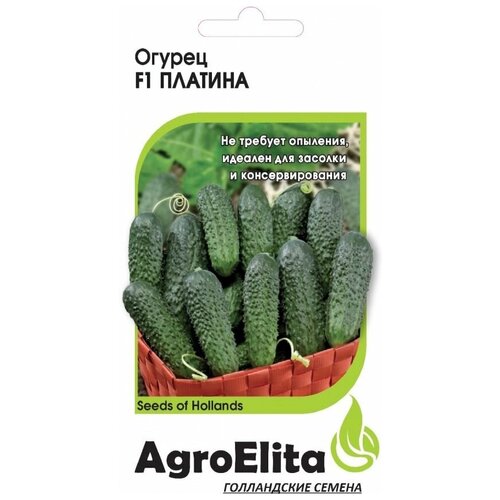 ������ ������ ������ ��������� 