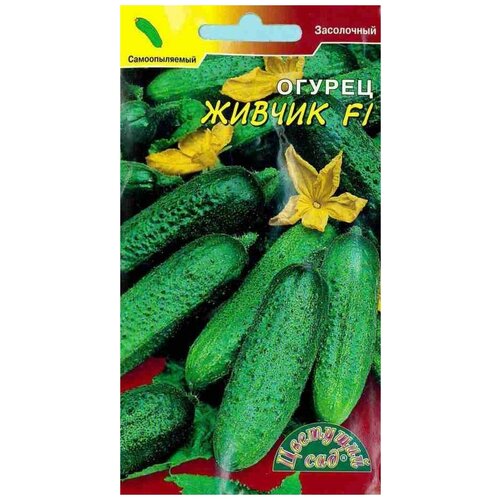 ������ ������ ������ �������� ��� 