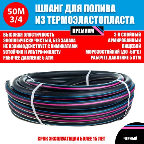 ������ ������ ����� ��� ������ ��� 3/4 19�� ������ 50� ����