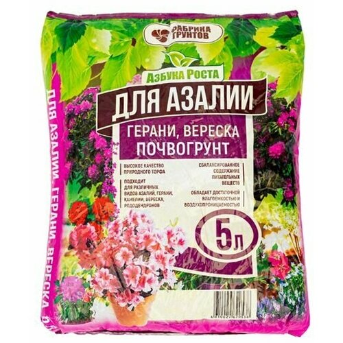 ������ ������ ����� ��� ������, ������ � ������� 5 ������ , ������ ����� ����