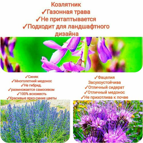 ������ ������ ����� ���������� ����/���������,600�� (�������+�����+���������), ����