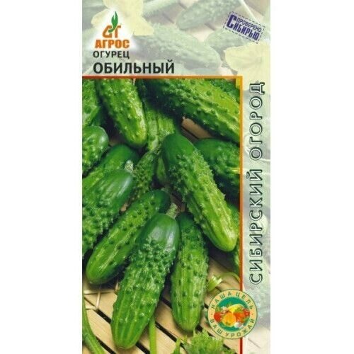 ������ ������ ������ ������ 