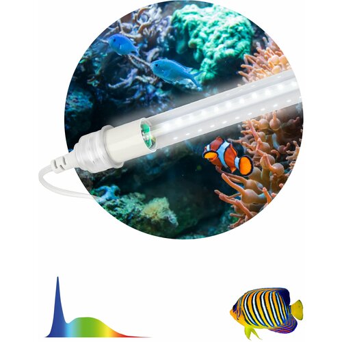 ������ ������ ���������� ��� ��������� ������������ 15�� 6500� 990�� IP65 FITO-15W-Ra90-�8-AQUA ��� ����