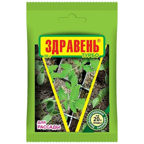 ������ ������ ��������� �������� ����� ��� ������� 30�� ����