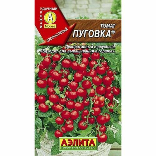 ������ ������ ������ ����� ������� (�����������), �����������, (������) 20�� ����