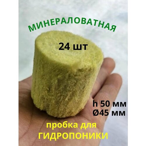 ������ ������ �������� ��� ����������� 45 �� (������, ��������, ����������� ����), 24 �� ����