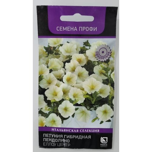 ������ ������ 5�� ������� ��������� ��������� ����� ����� ����