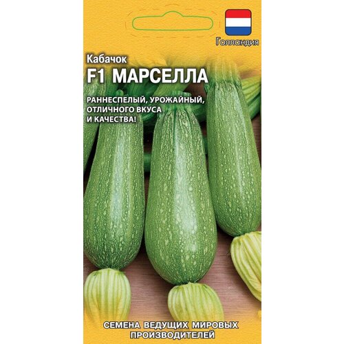 ������ ������ ������ ������� �������� F1, 5��, ������, ������� ������� ������������� ����