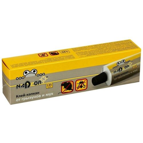 ������ ������ ���� �� �������� 