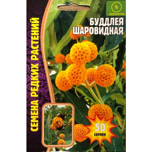 ������ ������ ������ ������� ���������� (50 �����) ����