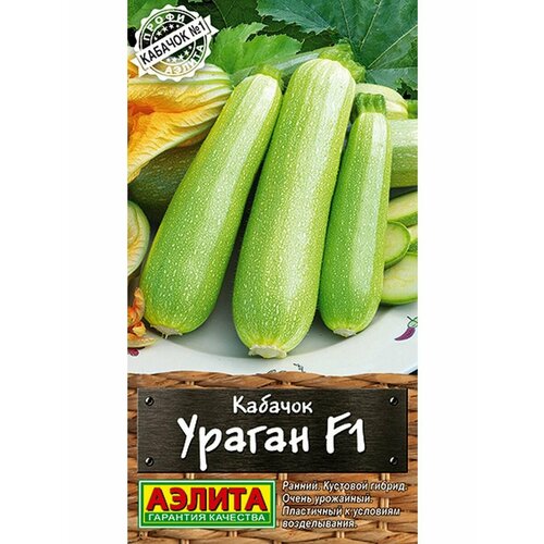 ������ ������ ������ ������� ������ F1 5�� ������ (������) ����