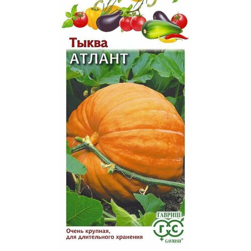 ������ ������ ������ ����� ������ 2,0� (������) ����