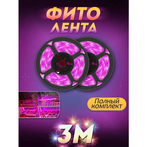 ������ ������ ������������ ����� ��� ������� ����