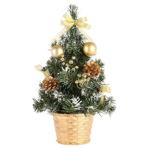 ������ ������ ���� ���������� ������������� ���������� 30�� ����