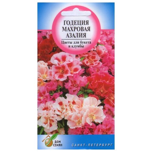 ������ ������ ������� ������, ��������, 200 ����� ����