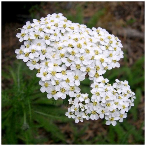 ������ ������ ������ ������ ������������� ������������ ����� � ������� 100 ��. ����