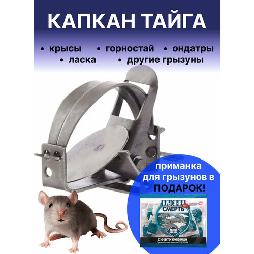 ������ ������ ������ ����� ������ ���������� �������� �� �������� ����