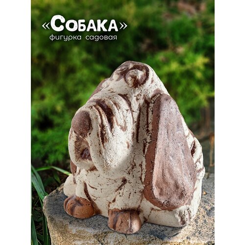 ������ ������ ������� ������� ������ ����